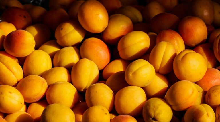 Financiers abricots fleur d’oranger
