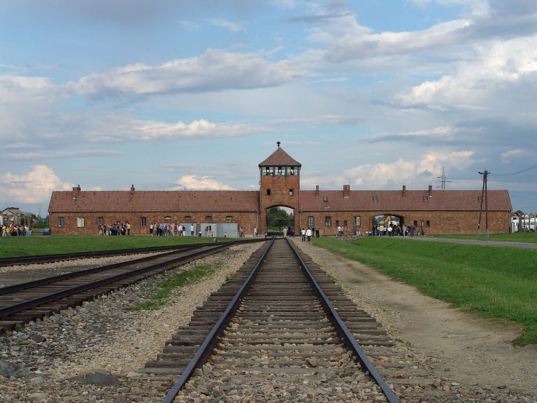 La transmission de la mémoire de la Shoah : un défi renouvelé 80 ans après Auschwitz