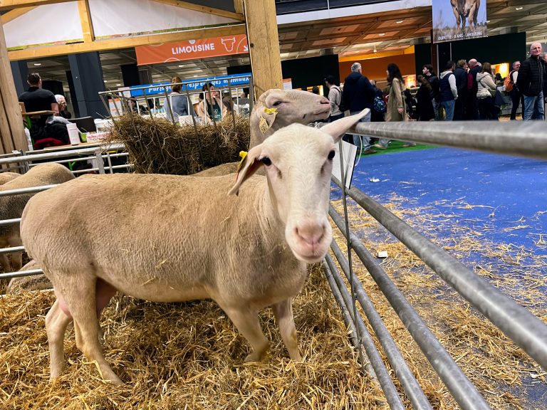 Le Salon de l&rsquo;Agriculture 2025 : Entre résilience et nouveaux défis