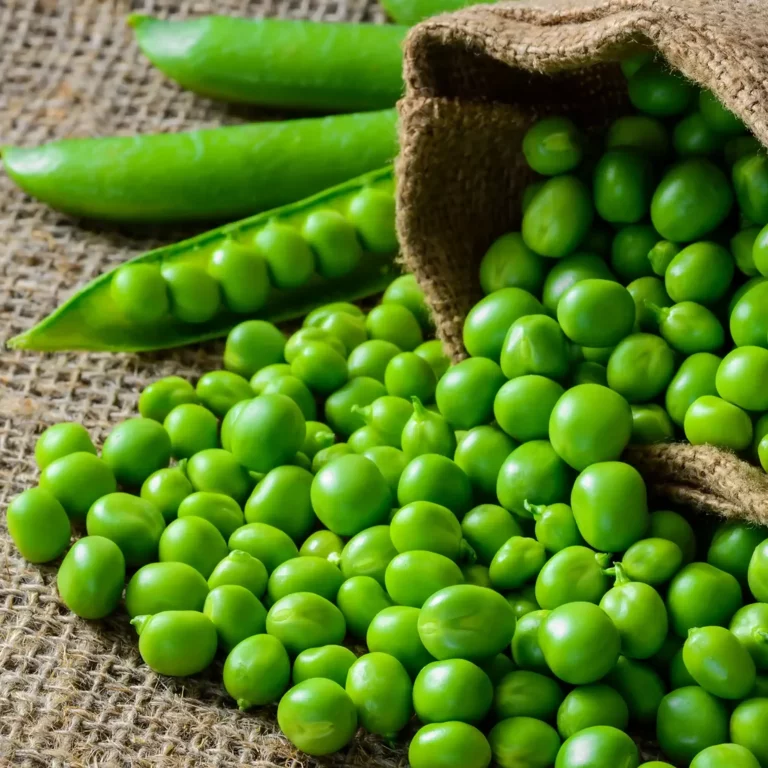 Emulsion de petits pois et son coulis de framboises