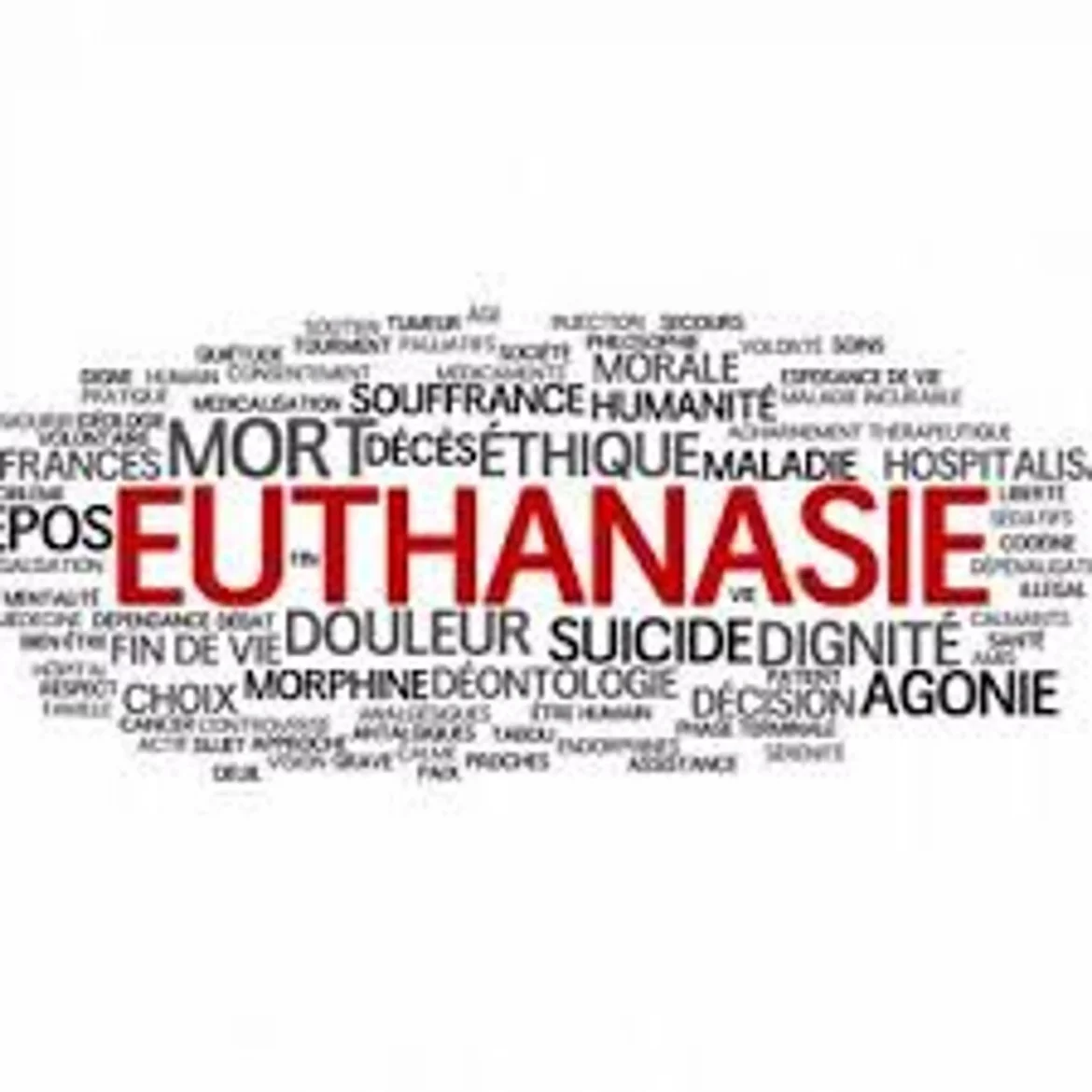 Quelques nouvelles du front de l’euthanasie