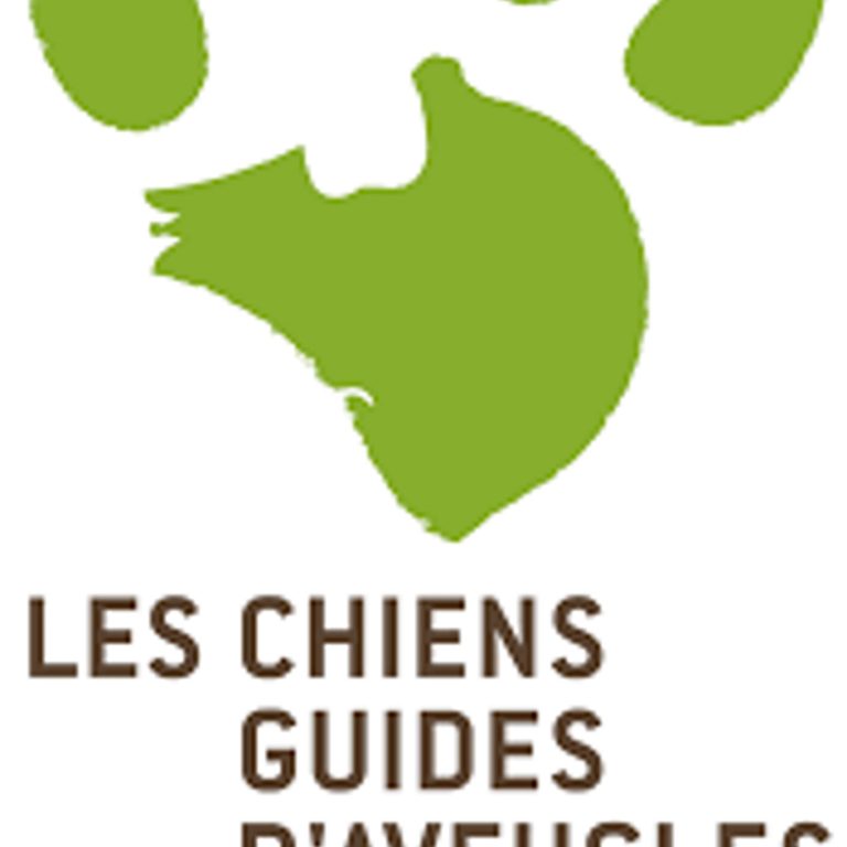 Devenir bénévole en accueillant chez soi un chien guide d'aveugle