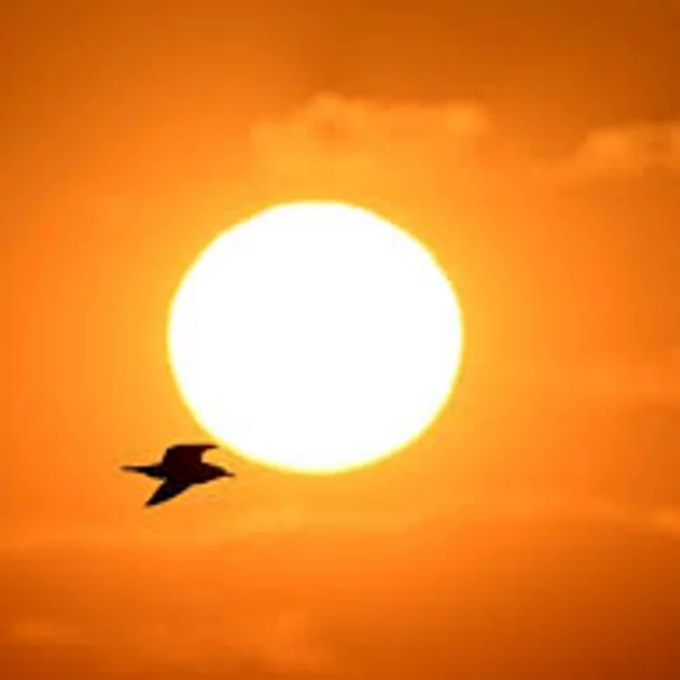 l&rsquo;été, il fait chaud !