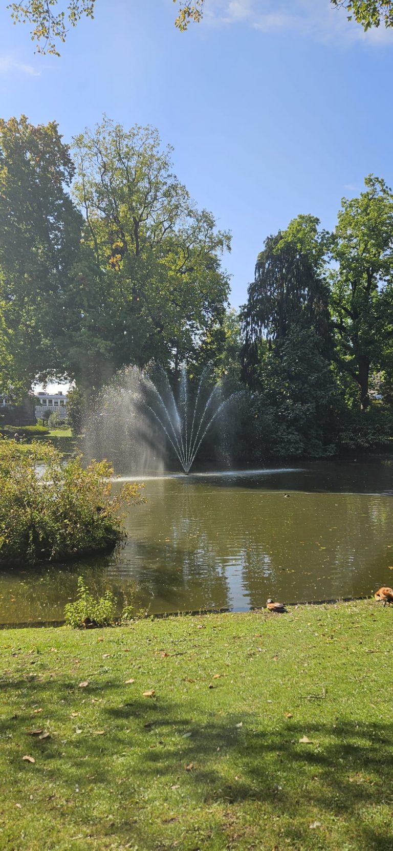 Dans les coulisses du Jardin des plantes : Thomas Rault, réalisateur de la série "Jardin Public"