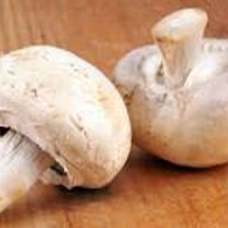 Champignons au soufflé de châtaigne, sans gluten ni lait