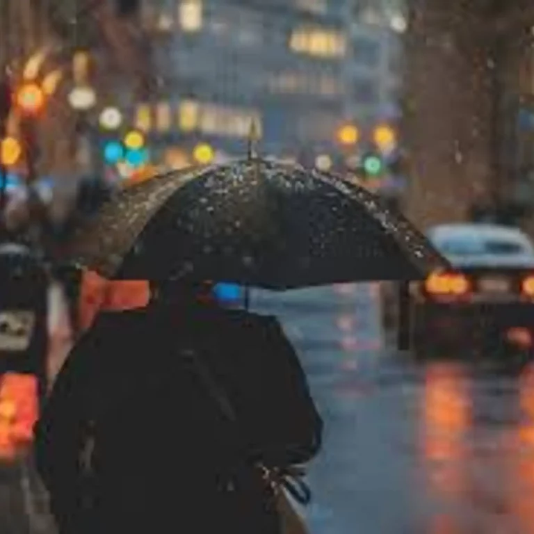 Quand la pluie fait rêver Nantes