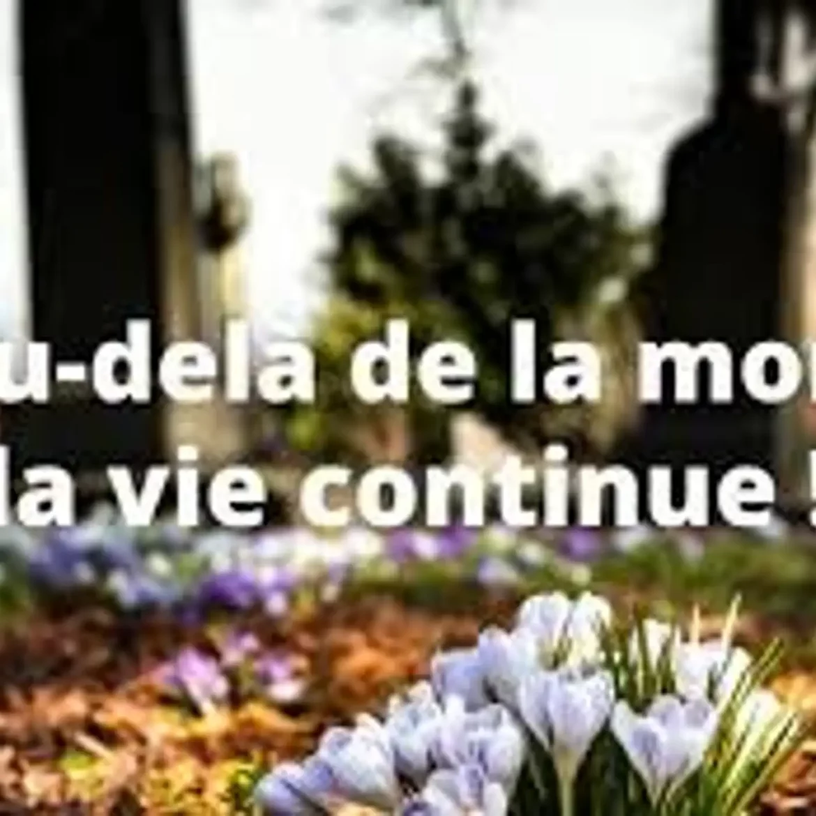 Comment penser la vie après la vie ?