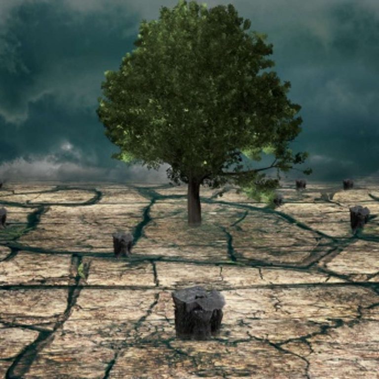 Journée mondiale du climat : l'écologie intégrale avec Jean-Baptiste Aubourg, responsable du service au Diocèse de Nantes