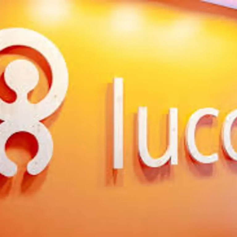 Lucca la belle entreprise