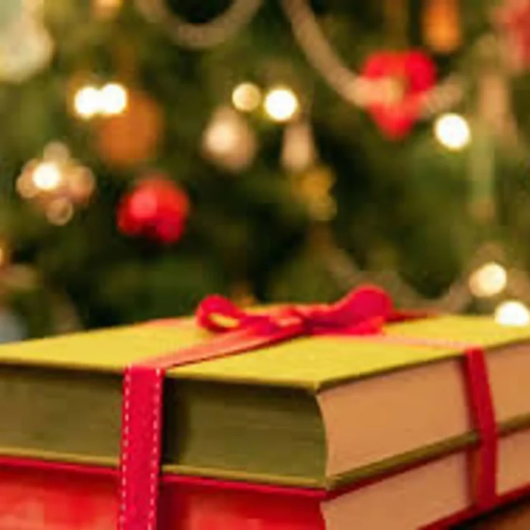Des livres pour Noël avec la librairie SILOE