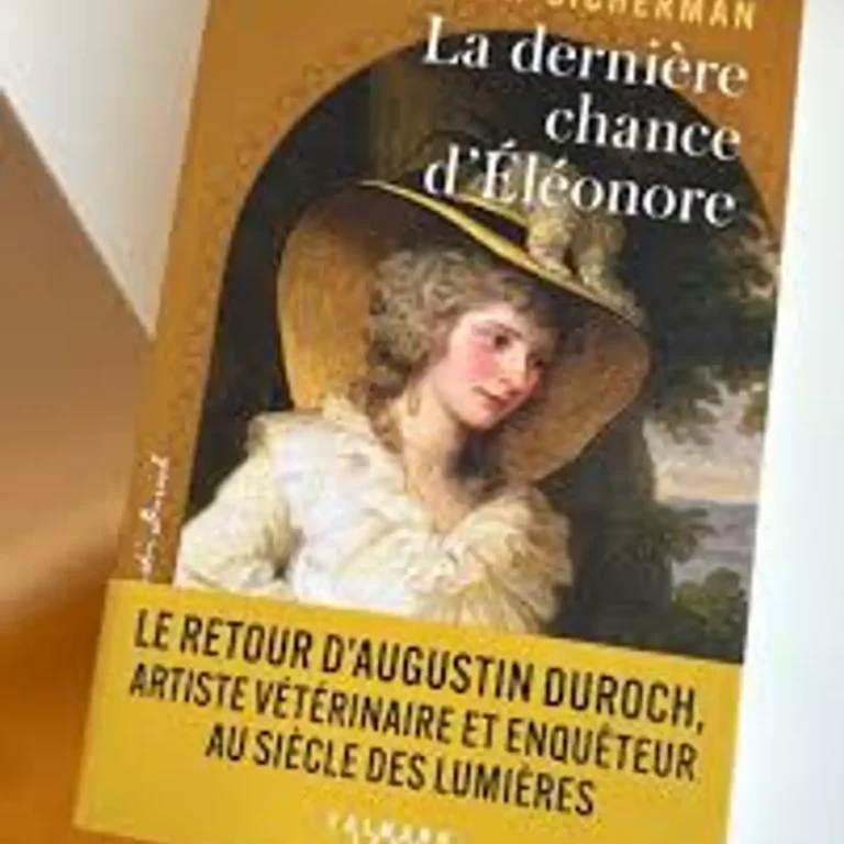 La dernière chance d’Eléonore de Anne Villemin-Sicherman ……