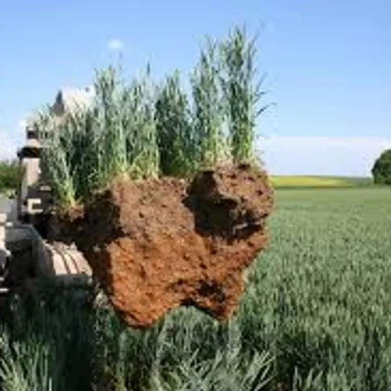 «Les sols peuvent-ils être les super héros du climat ? » Marc André SELOSSE (2/2)