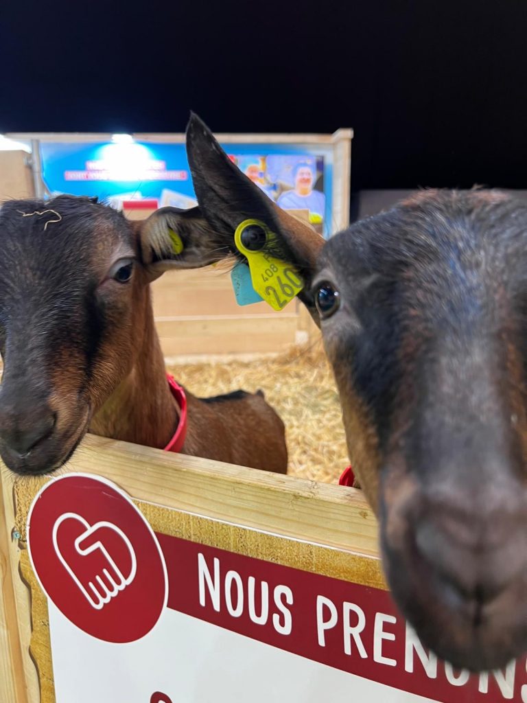 Matinale du 25/02 : Entre colère paysanne, saveurs et souveraineté alimentaire